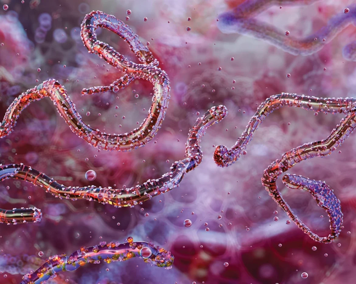 20241008lnp2-marburg_Widescreen