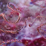 Executive Secretary Urges All Congregations to Pray Amid Marburg Virus Outbreak in Southern Ethiopia